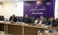 The second Internationalization Council of Zahedan University of Medical Sciences meeting held in November 2023