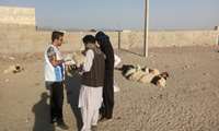 Community and Student Health Volunteers Launching an Awareness Campaign on Crimean Congo Hemorrhagic Fever in Zahedan outskirts