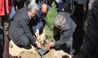 National Arbor Day (Tree Planting Day) 2018 was Observed in Zahedan University of Medical Sciences